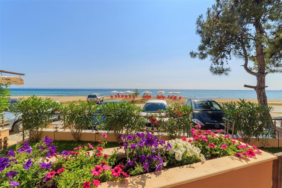 Studio Nikiti Beach Extérieur photo